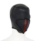 Spandex Hood - Removable Blindfold & Mask - Bondage Hood UK